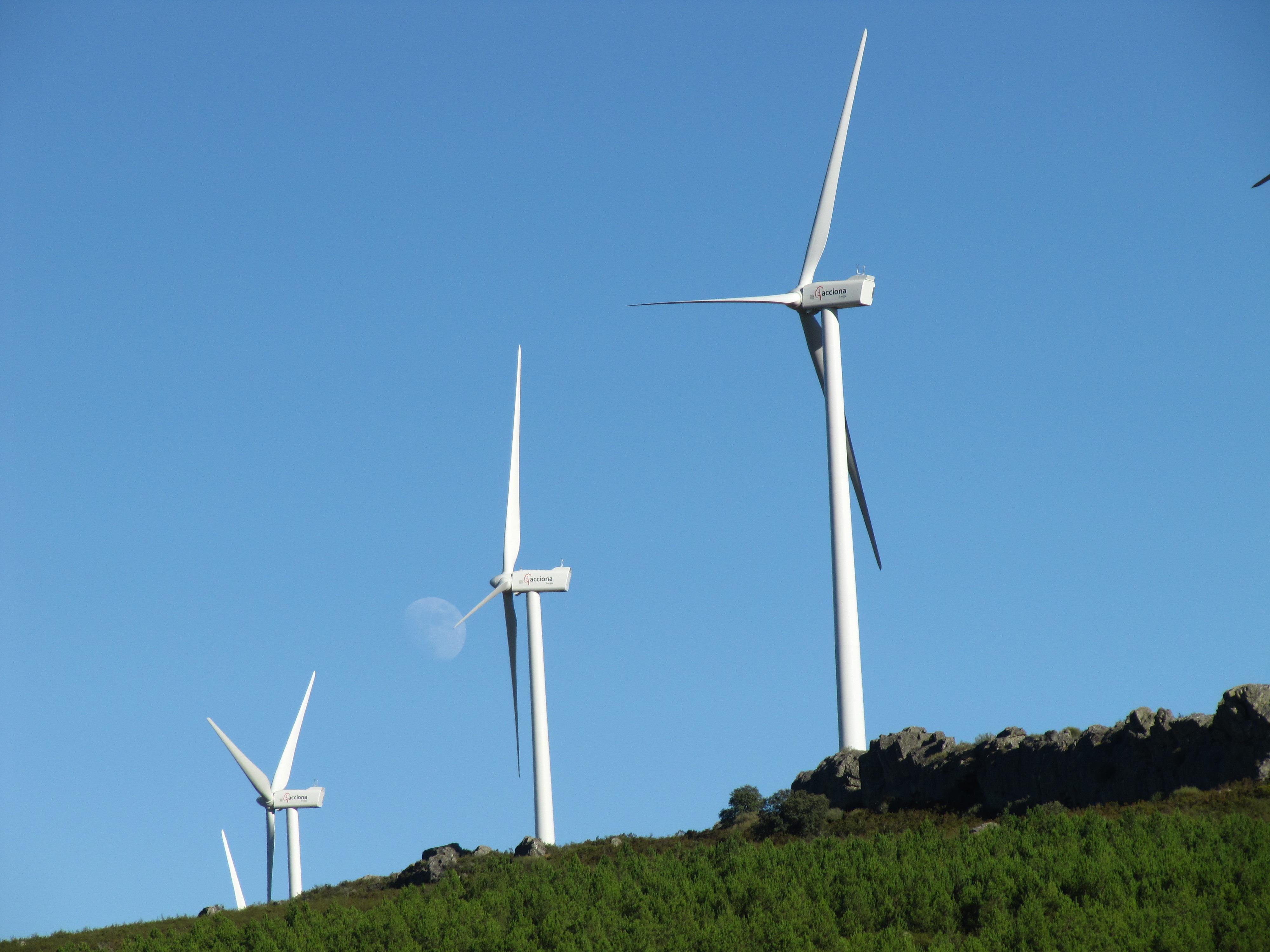 wind farm 