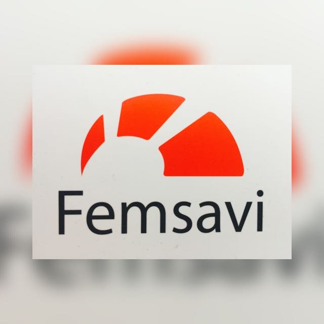 FEMSAVI S.L FEMSAVI S.L