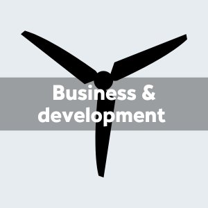 Other business & development services
