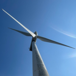 Blades V80 Vestas (2)