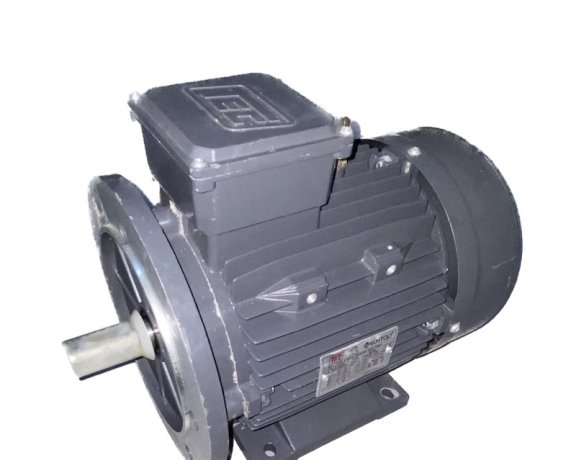 Oil Pump Motor
